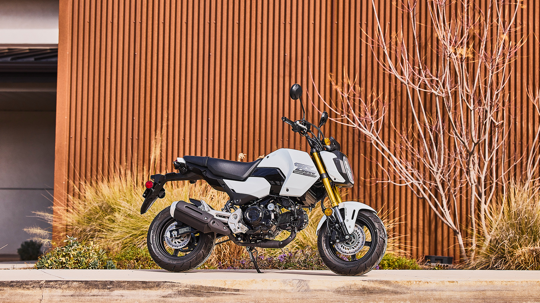MSX125 Grom – v bielej farbe, statický záber zboku